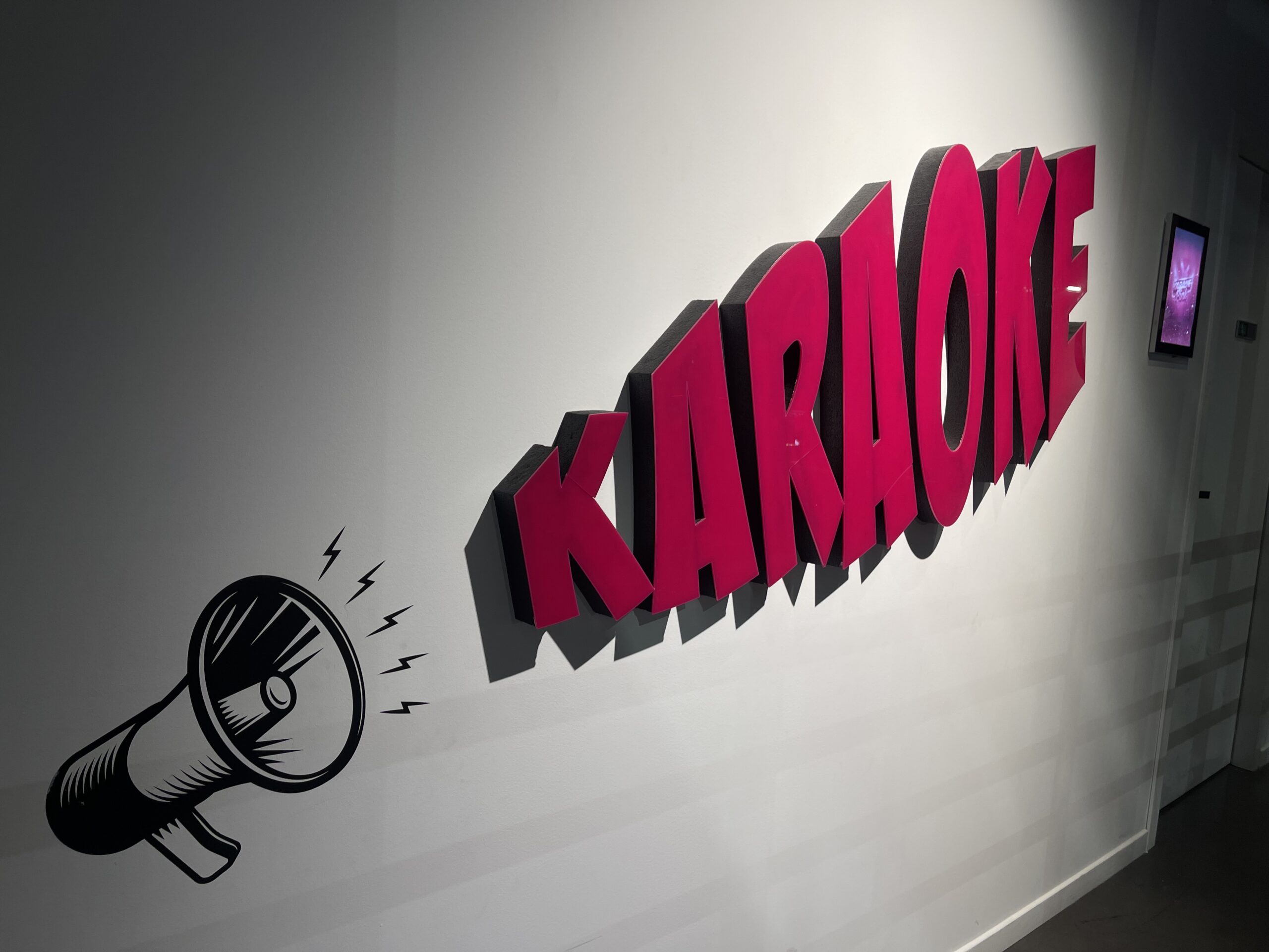 Karaoké — photo 6